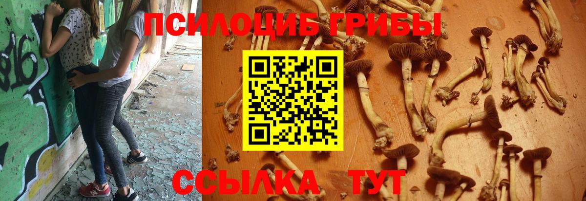 Псилоцибиновые грибы GOLDEN TEACHER Новоалтайск