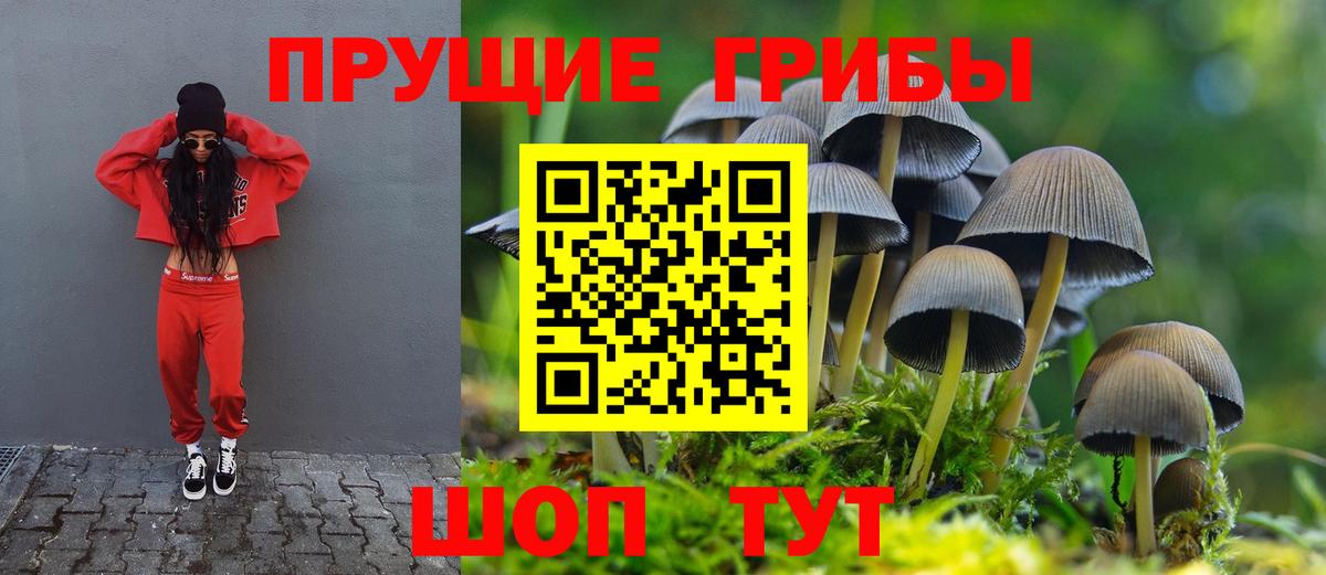 Новоалтайск  Галлюциногенные грибы Magic Shrooms  Вход с VPN 