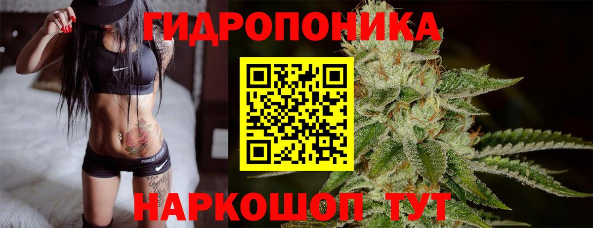 Марихуана Bruce Banner  Вход с VPN  Канабис ГИДРОПОН  Канабис LSD WEED  Новоалтайск  Канабис MAZAR 